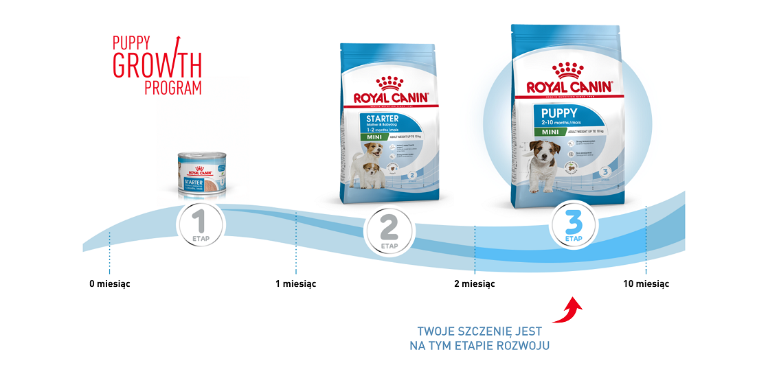 ROYAL CANIN Mini Puppy / Junior 8 kg 